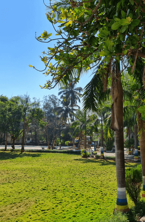 Pali Beach Resort IMG (5)